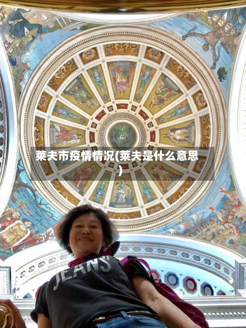 莱夫市疫情情况(莱夫是什么意思)-第2张图片