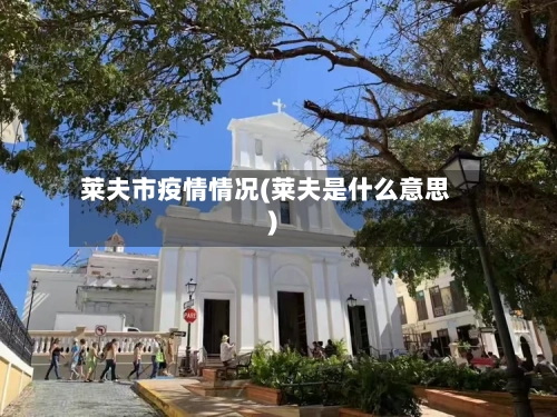 莱夫市疫情情况(莱夫是什么意思)-第1张图片