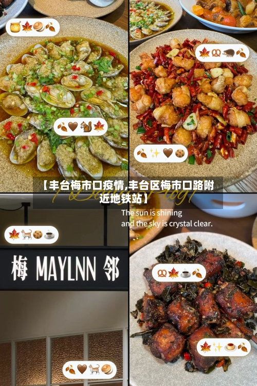 【丰台梅市口疫情,丰台区梅市口路附近地铁站】-第3张图片