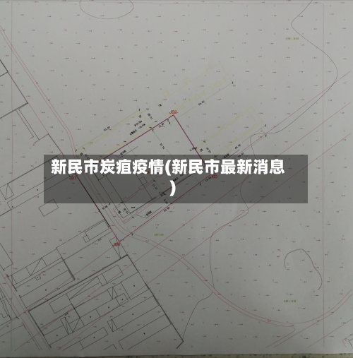 新民市炭疽疫情(新民市最新消息)-第1张图片