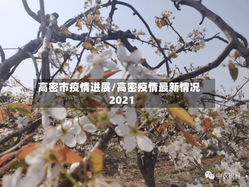 高密市疫情进展/高密疫情最新情况2021-第1张图片