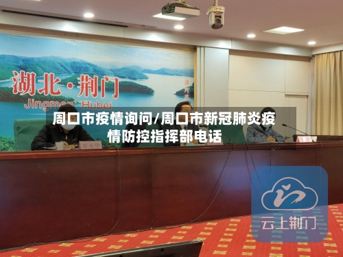 周口市疫情询问/周口市新冠肺炎疫情防控指挥部电话-第1张图片