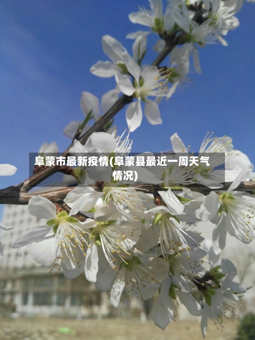 阜蒙市最新疫情(阜蒙县最近一周天气情况)-第1张图片