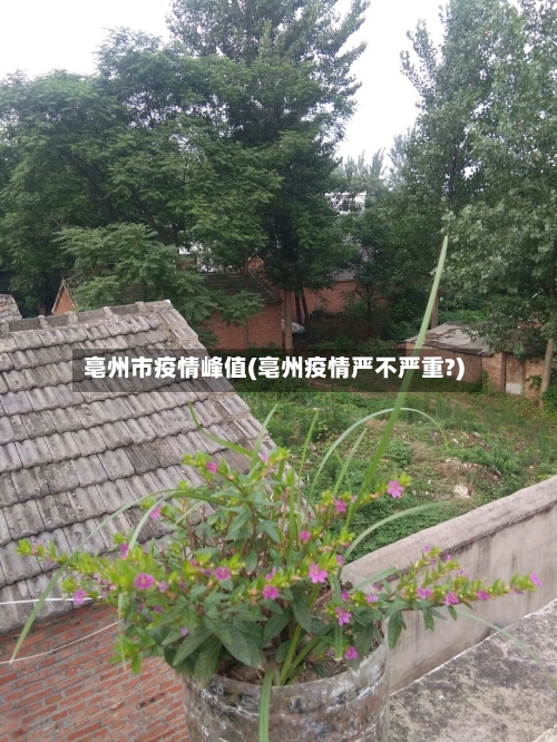 亳州市疫情峰值(亳州疫情严不严重?)-第1张图片