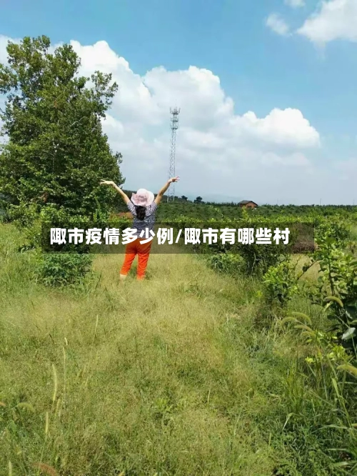 陬市疫情多少例/陬市有哪些村-第1张图片