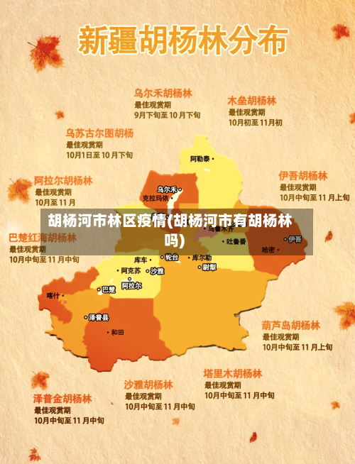 胡杨河市林区疫情(胡杨河市有胡杨林吗)-第1张图片