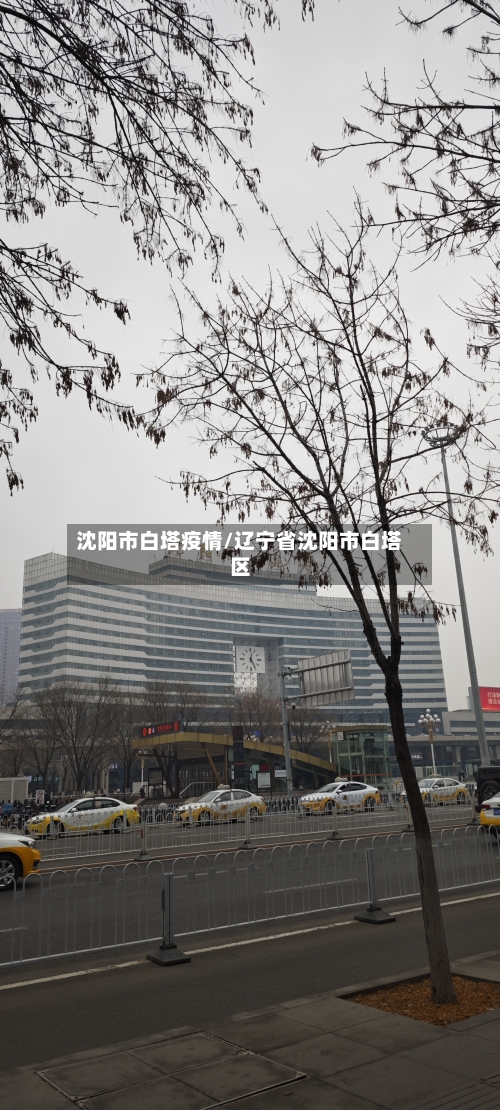 沈阳市白塔疫情/辽宁省沈阳市白塔区-第1张图片