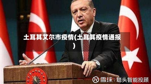 土耳其艾尔市疫情(土耳其疫情通报)-第3张图片